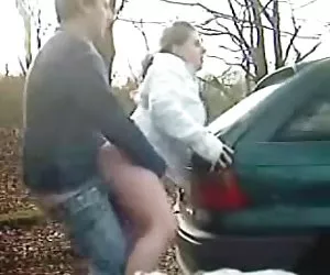  parar el coche a la mierda
