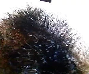 Peludo hippy 5 videos porno solo x el culo