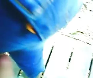 Encoxadas massa na novinha - follar en el culo novinha xxx videos porno