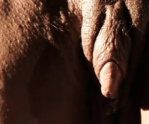 Melón  freak en hd