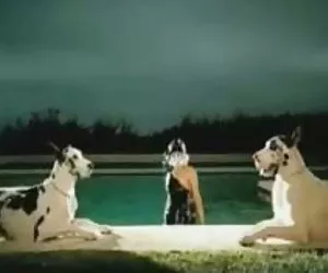 Lady gaga bj comp. hentai gay
