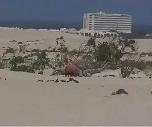 Mariels sobrina y el hombre viejo en la playa ver videos xxx