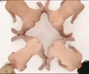 Sesión  de ejercicios aeróbicos