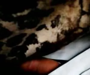 Toque autobús vergas x videos porno