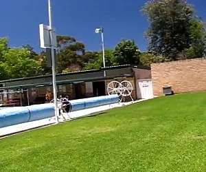 Mi esposa nicki intermitente de la piscina con un protector de la vida primera vez por el culo