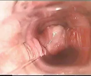 En el interior de la vagina durante el orgasmo l7 videos sexo xxx